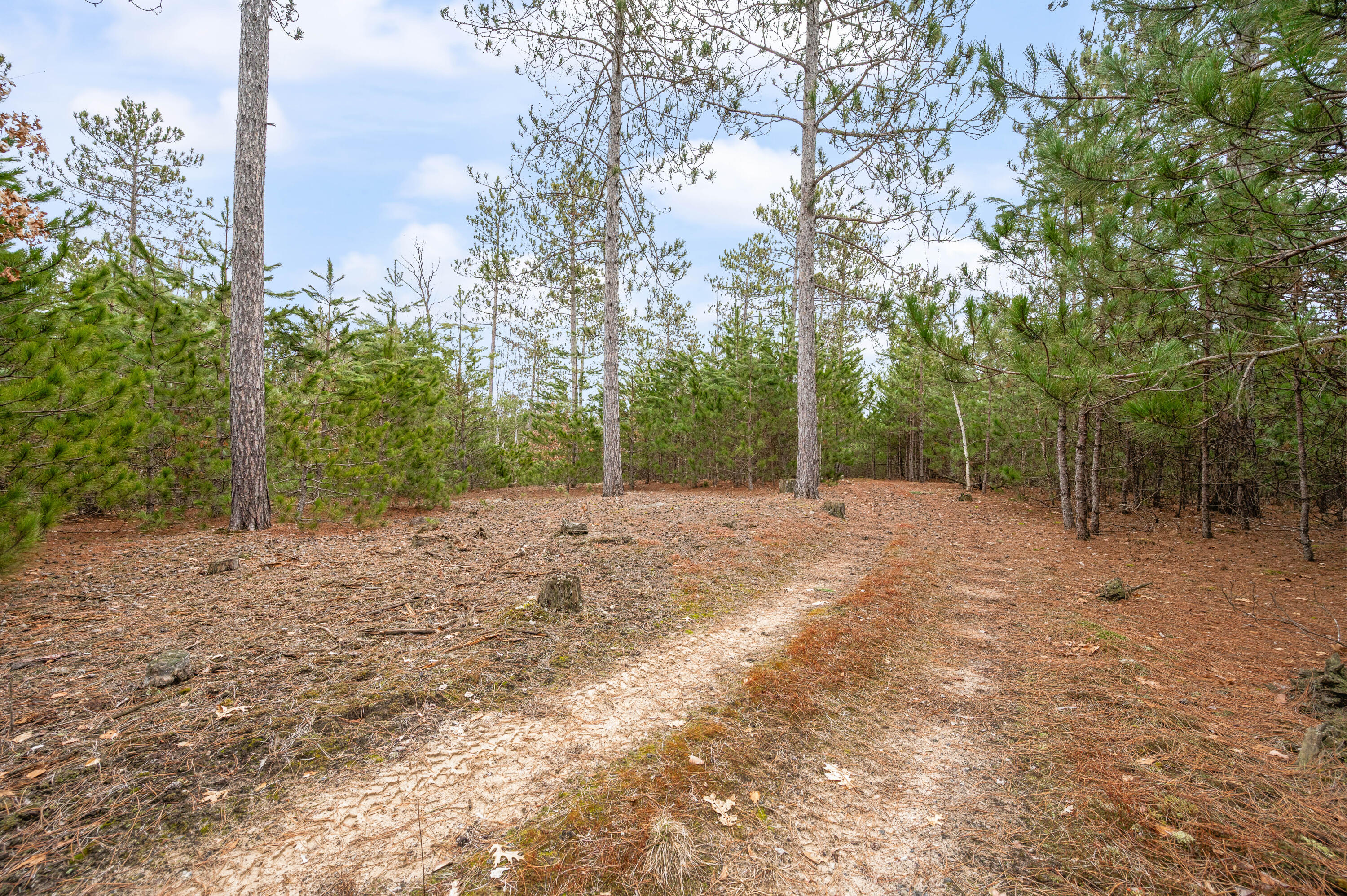 6700 South 230th Avenue Reed City, MI 49677 - Photo 56 of 74 6700-230thAve-RC-55