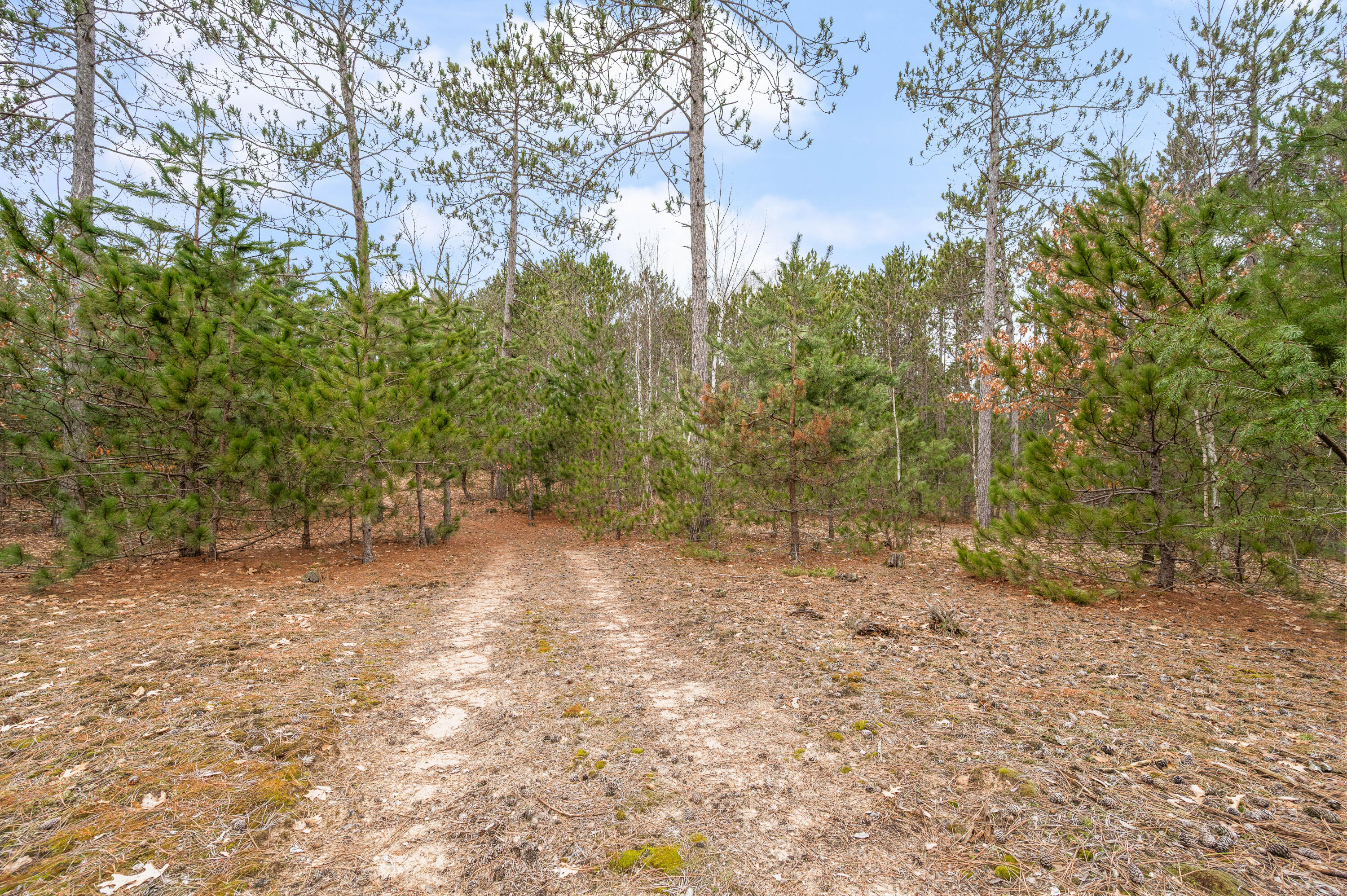 6700 South 230th Avenue Reed City, MI 49677 - Photo 57 of 74 6700-230thAve-RC-56