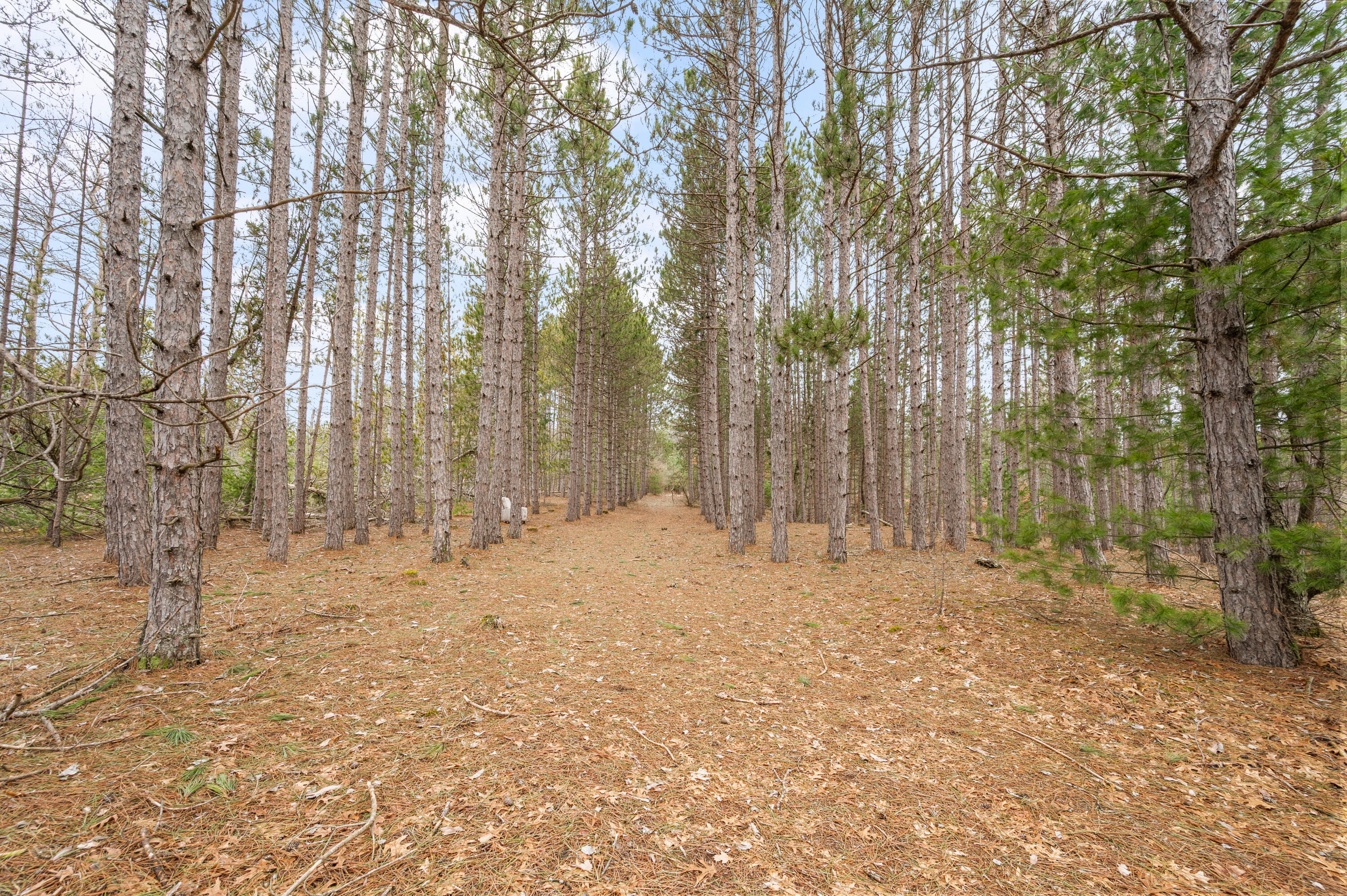 6700 South 230th Avenue Reed City, MI 49677 - Photo 58 of 74 6700-230thAve-RC-57