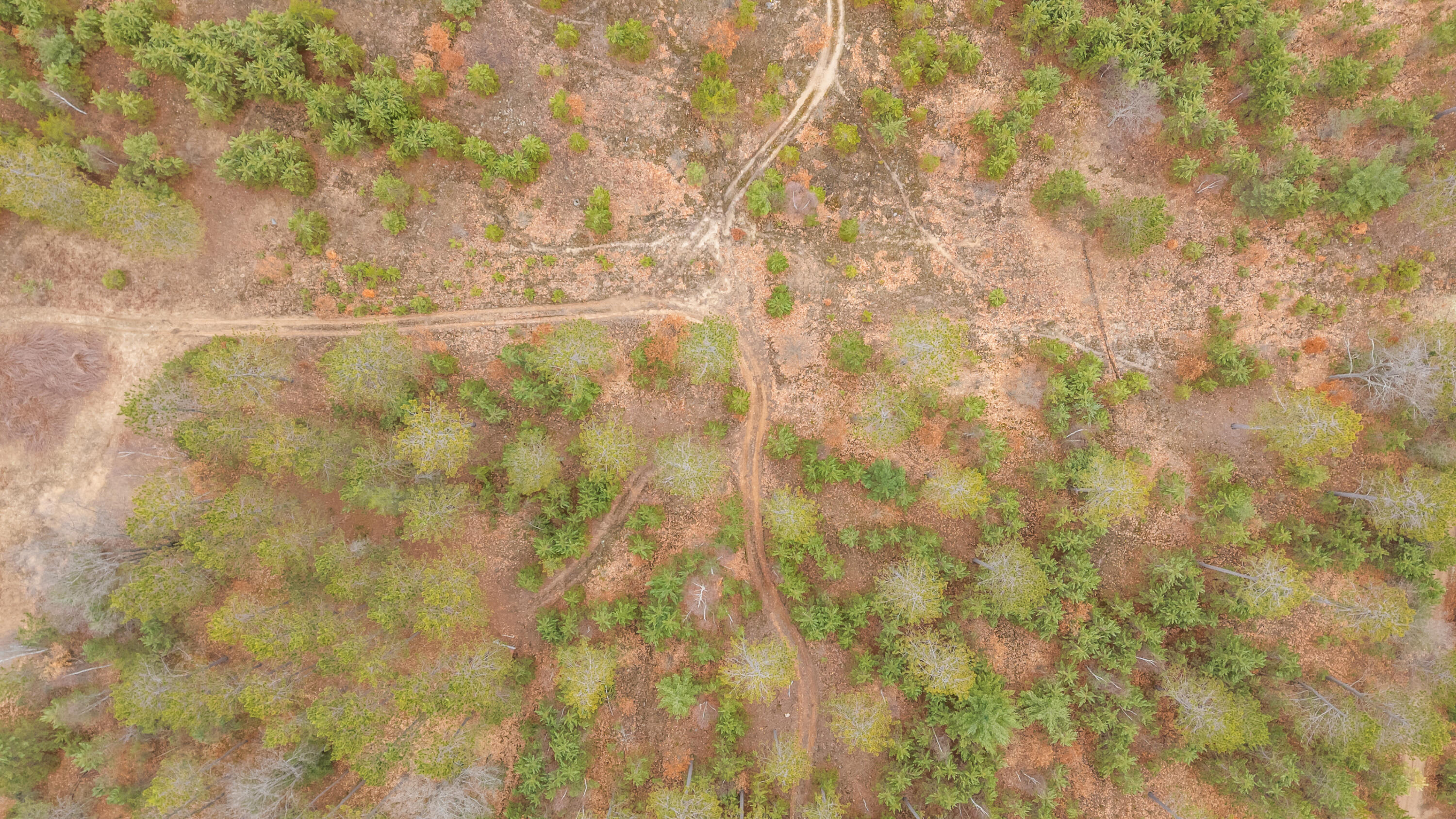 6700 South 230th Avenue Reed City, MI 49677 - Photo 61 of 74 6700-230thAve-RC-60