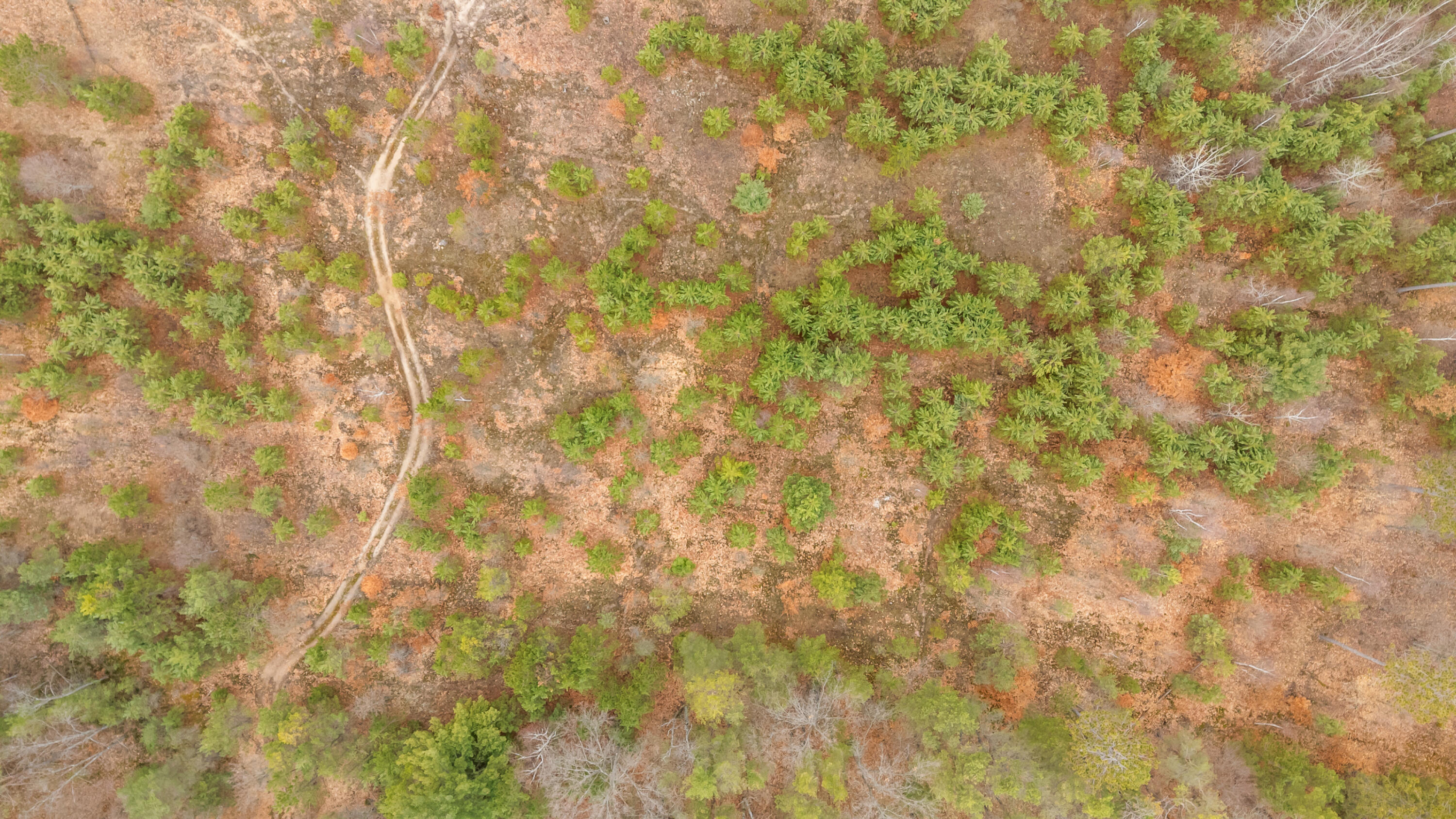 6700 South 230th Avenue Reed City, MI 49677 - Photo 68 of 74 6700-230thAve-RC-66