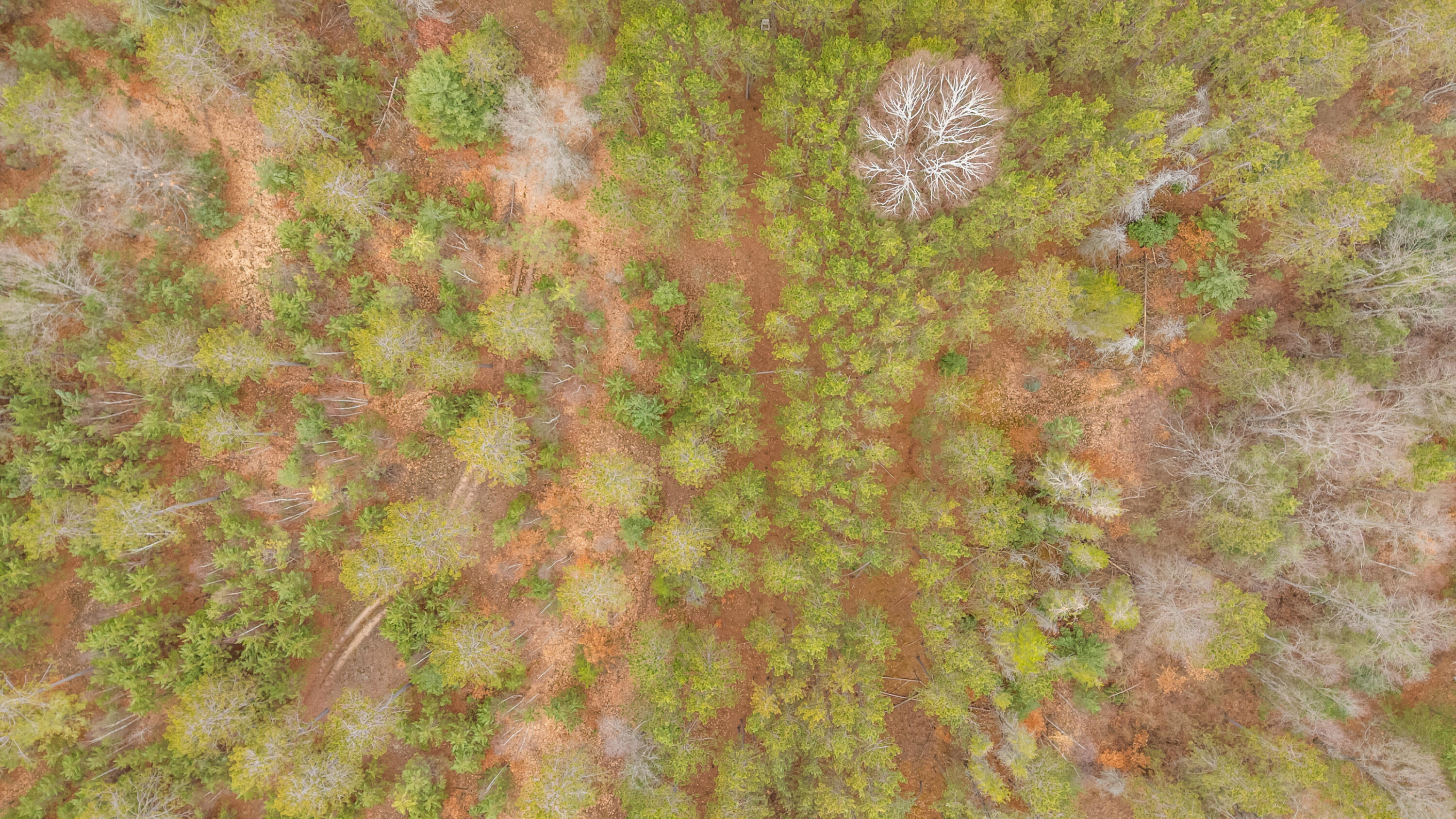 6700 South 230th Avenue Reed City, MI 49677 - Photo 69 of 74 6700-230thAve-RC-67