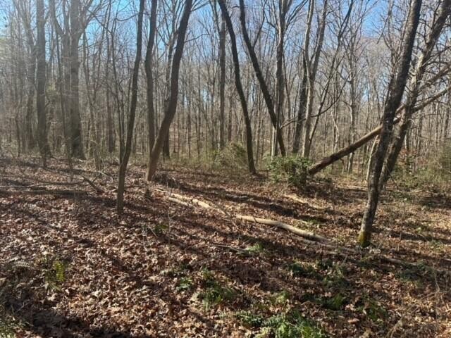 1 Newt Meeks Road Tracy City, TN 37387 - Photo 2 of 18 Gallery Image 2