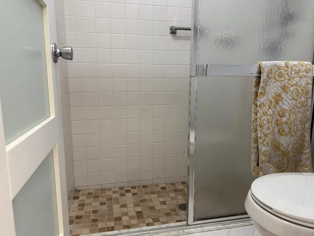 a bathroom with a shower and toilet