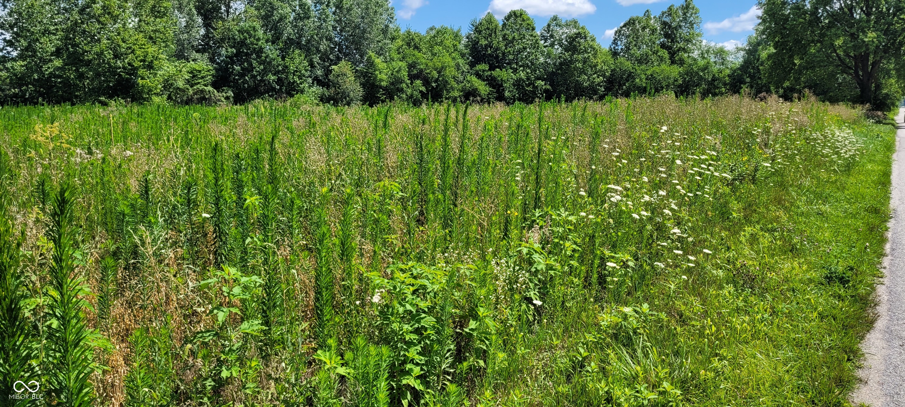0 East 1100th Road South Pendleton, IN 46064 - Photo 1 of 12