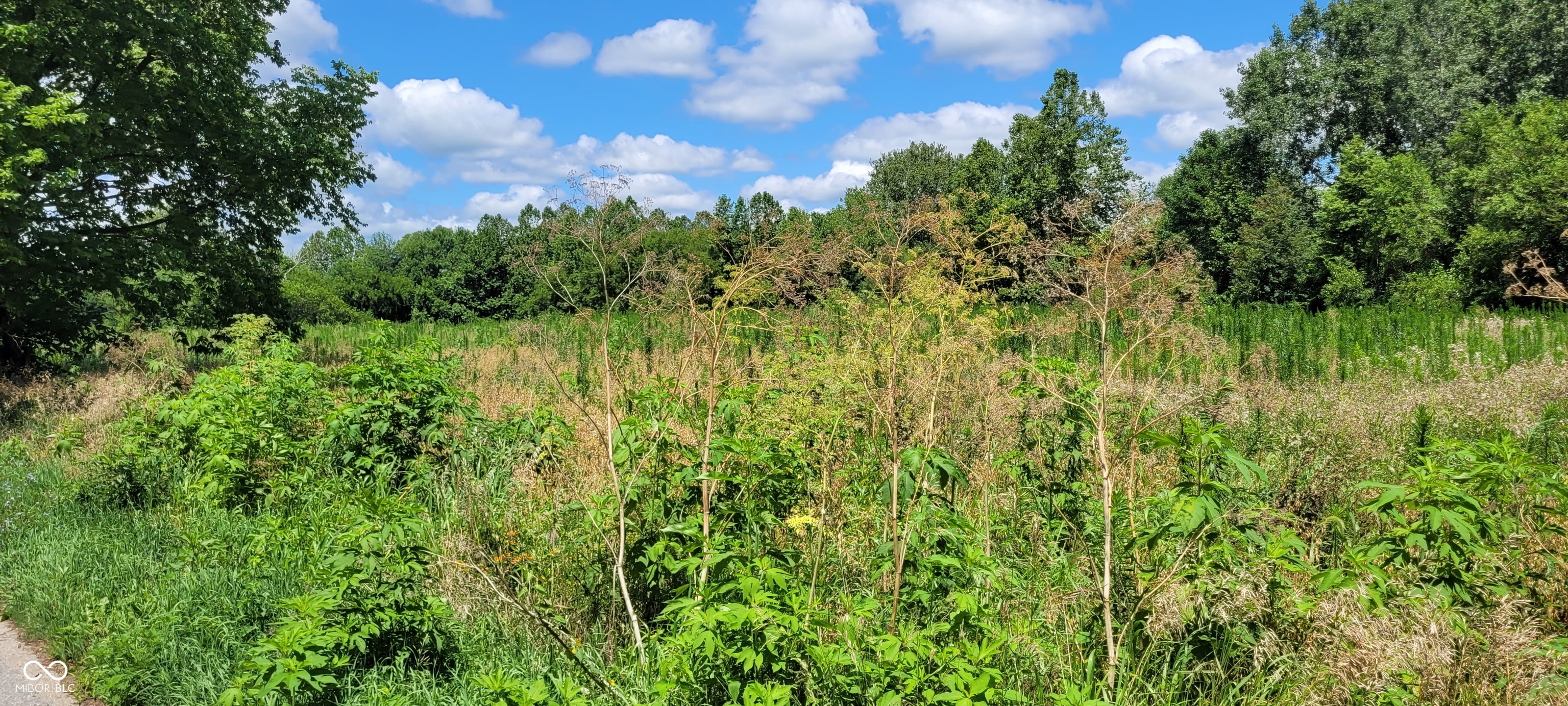 0 East 1100th Road South Pendleton, IN 46064 - Photo 7 of 12