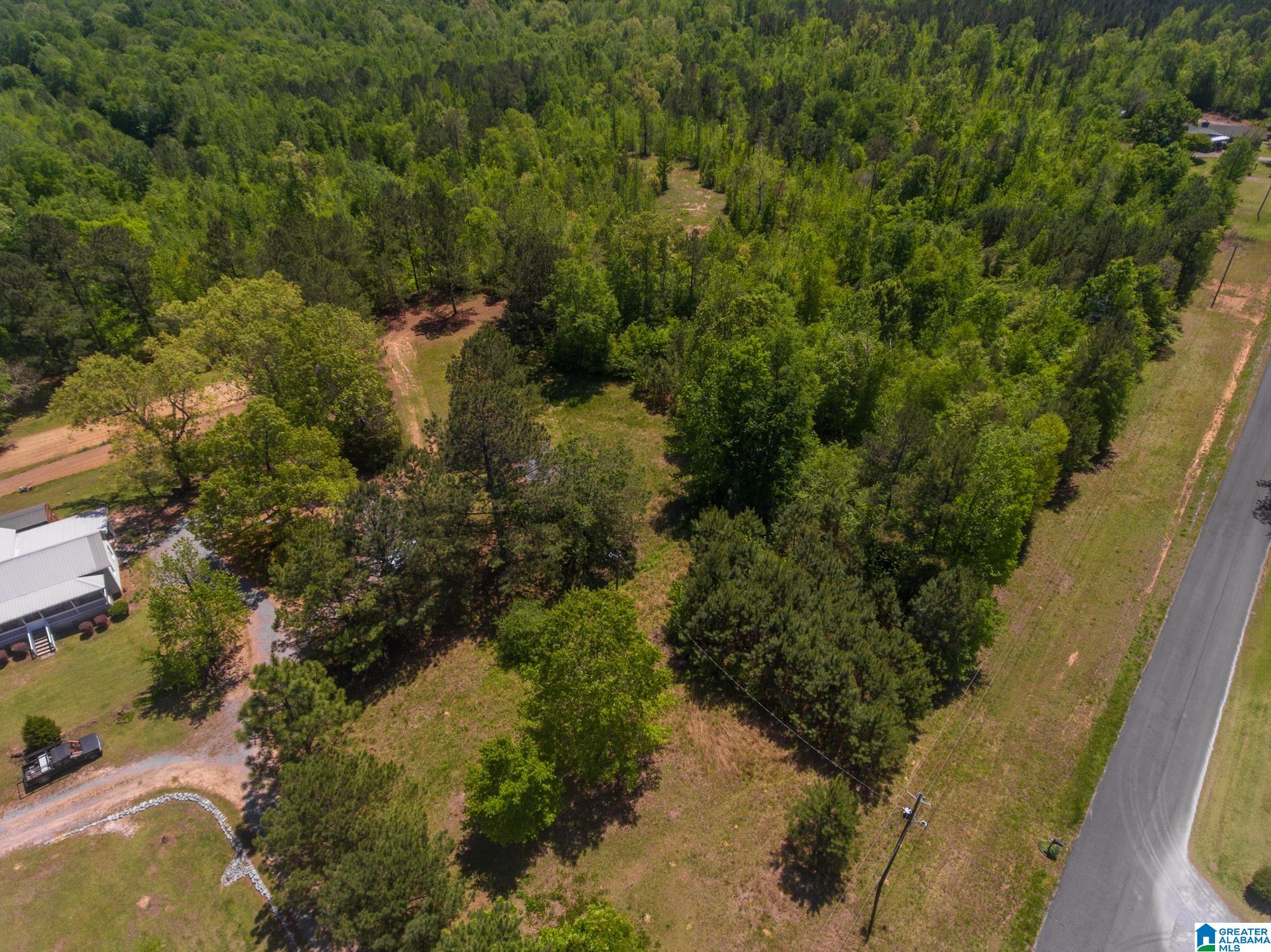 1326 Pine Ridge Road Wellington, AL 36279 - Photo 13 of 15