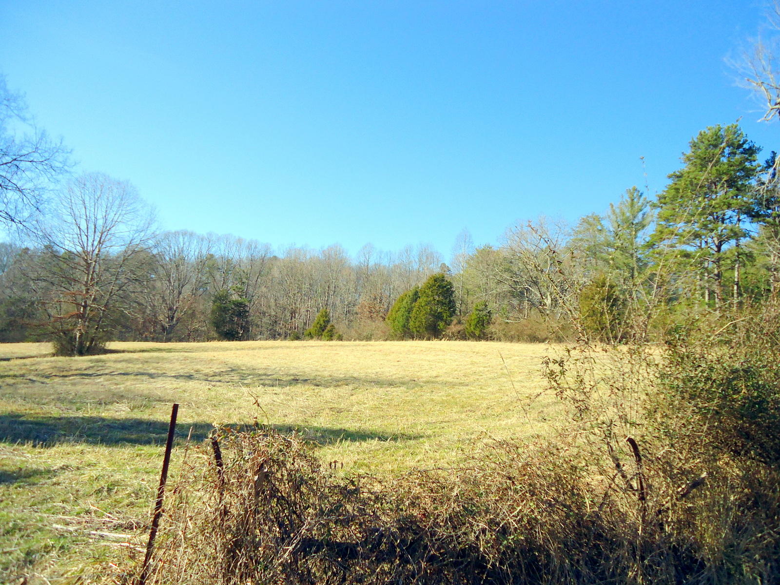 8130 Calloway Road Loudon, TN 37774 - Photo 1 of 11 02-DSC04289