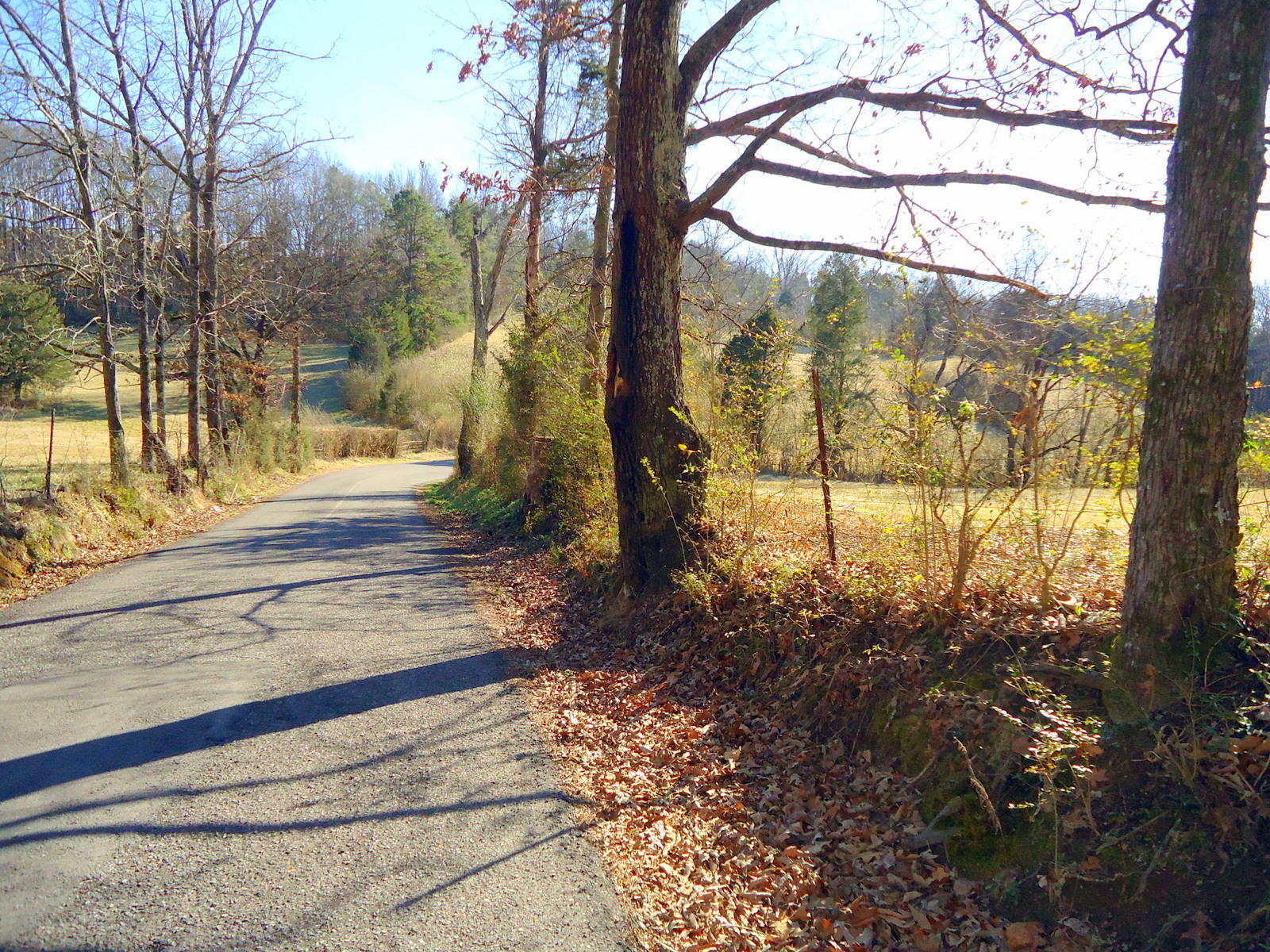 8130 Calloway Road Loudon, TN 37774 - Photo 11 of 11 06-DSC04293
