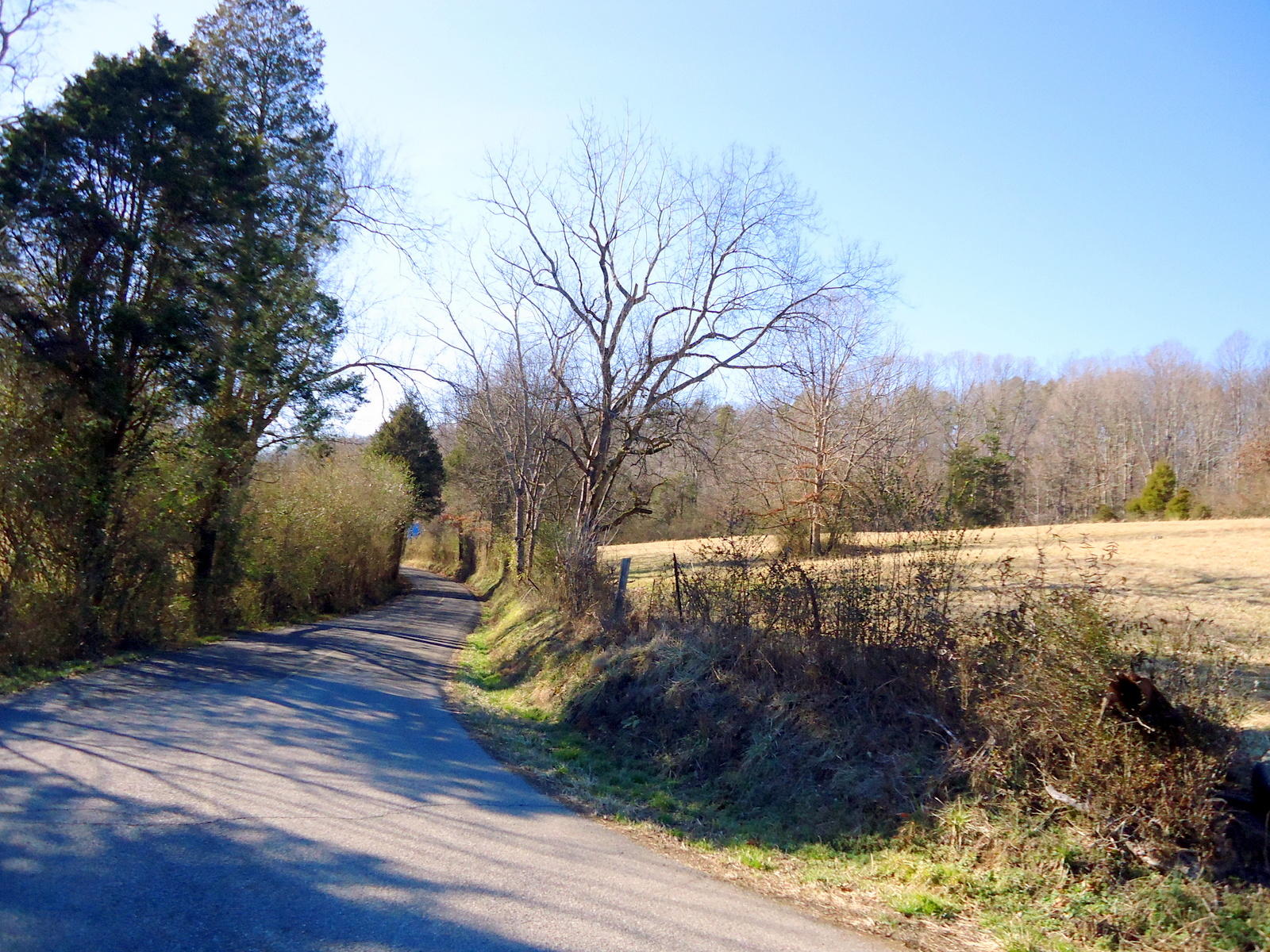 8130 Calloway Road Loudon, TN 37774 - Photo 3 of 11 09-DSC04296