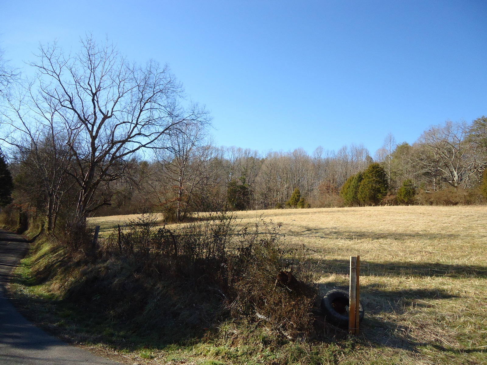 8130 Calloway Road Loudon, TN 37774 - Photo 4 of 11 10-DSC04297