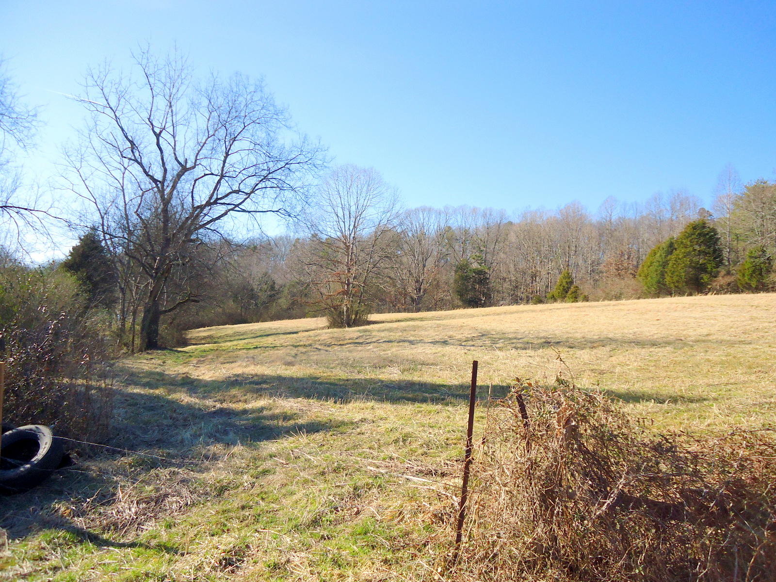 8130 Calloway Road Loudon, TN 37774 - Photo 5 of 11 01-DSC04288