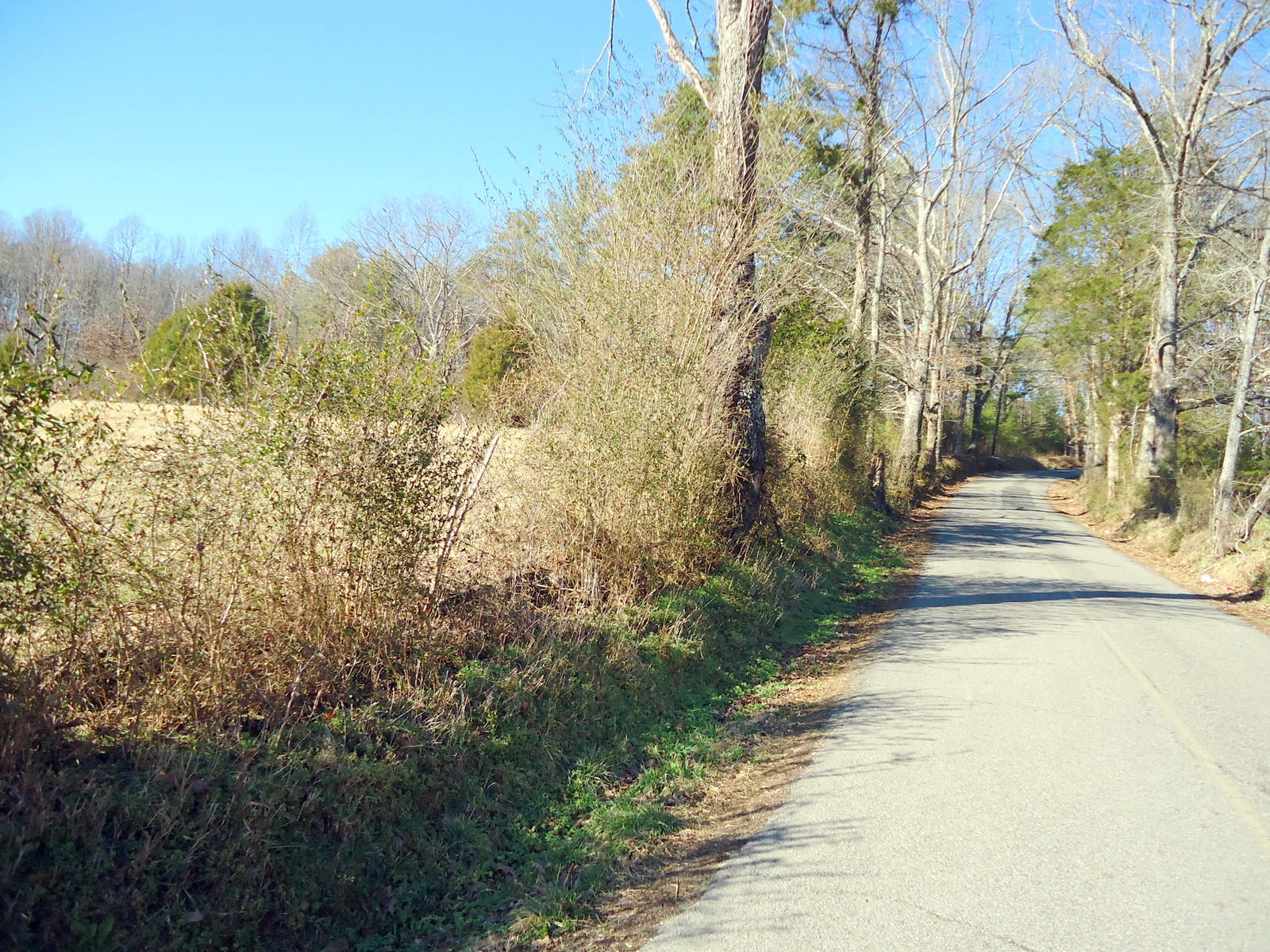 8130 Calloway Road Loudon, TN 37774 - Photo 6 of 11 03-DSC04290