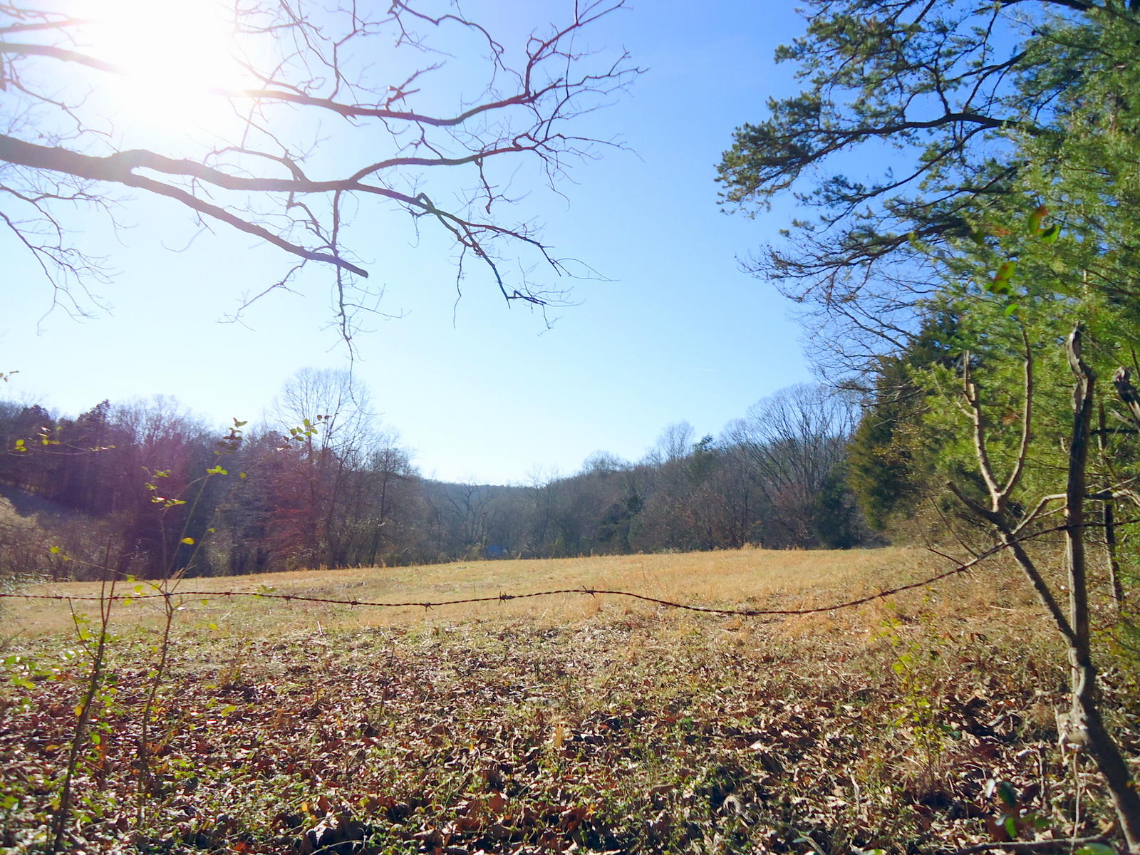 8130 Calloway Road Loudon, TN 37774 - Photo 7 of 11 04-DSC04291