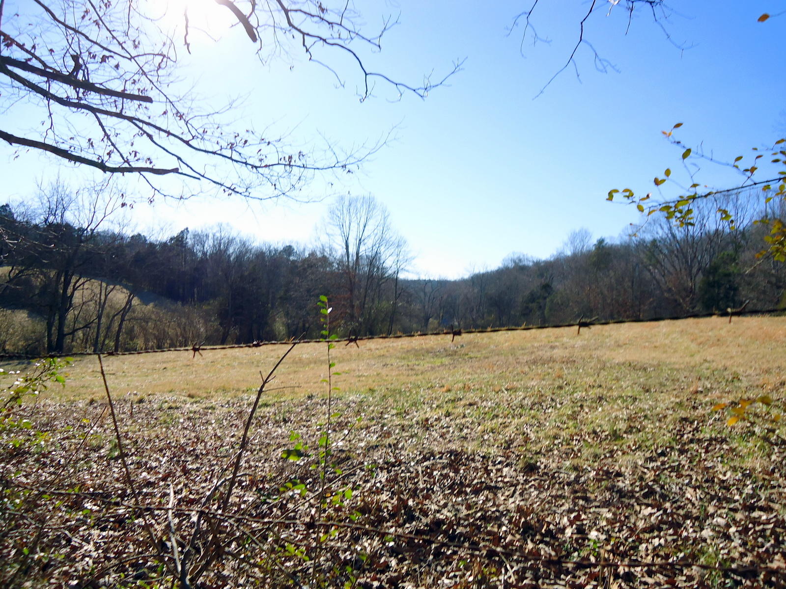 8130 Calloway Road Loudon, TN 37774 - Photo 8 of 11 05-DSC04292