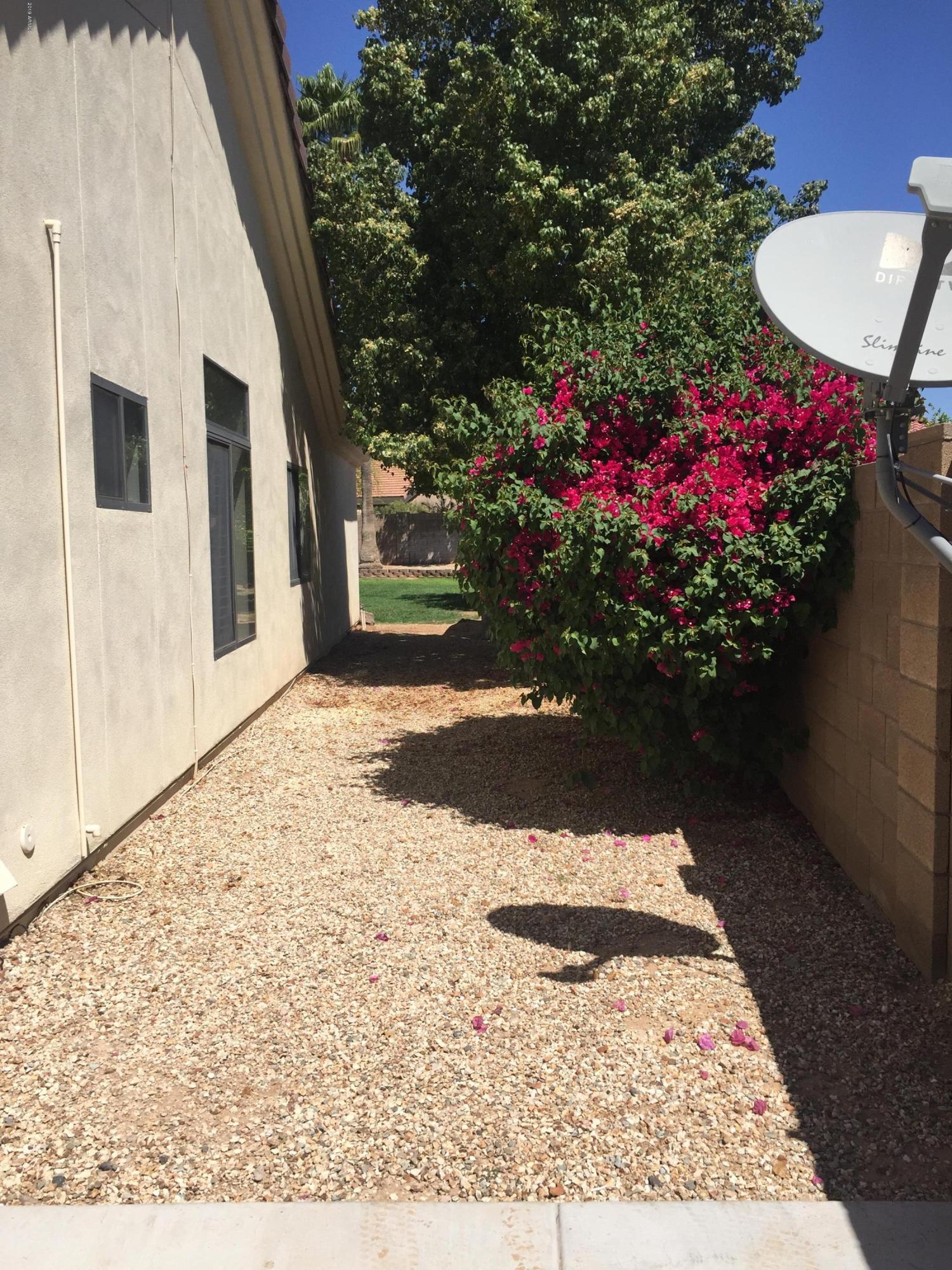 13186 West Granada Road Goodyear, AZ 85395 - Photo 7 of 72 Side Yard Behind Gate