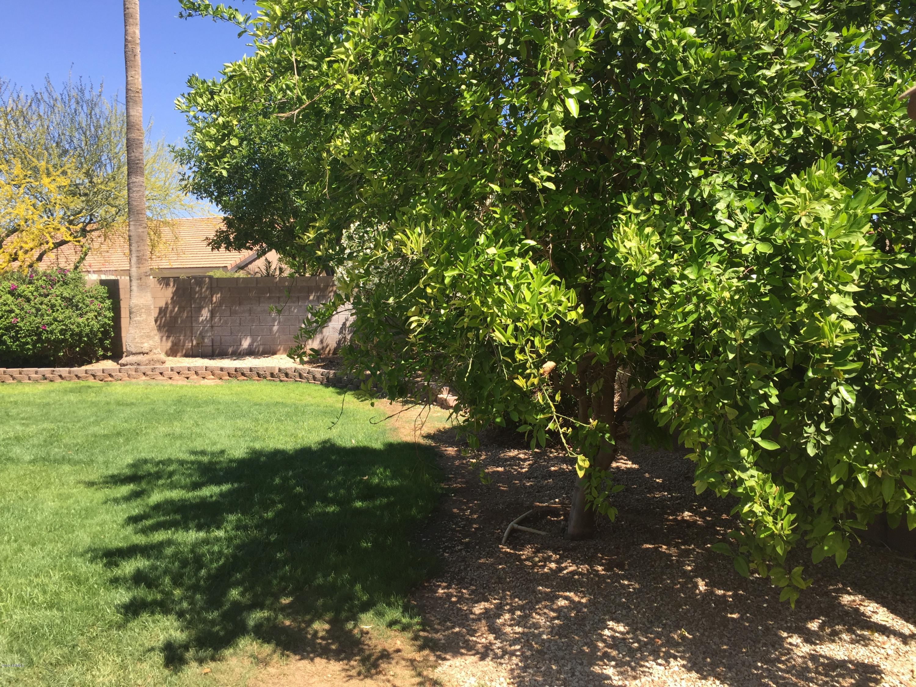 13186 West Granada Road Goodyear, AZ 85395 - Photo 8 of 72 East Side of Yard