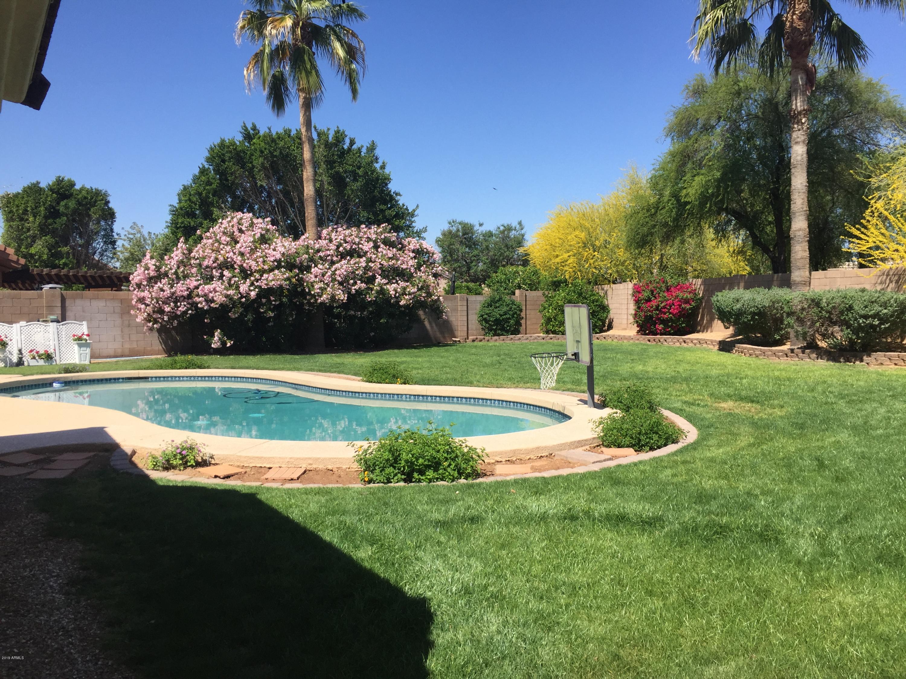 13186 West Granada Road Goodyear, AZ 85395 - Photo 9 of 72 Play Pool