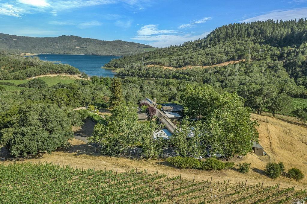 555 Greenfield Road St. Helena, CA 94574 - Photo 1 of 1 Gallery Image 1