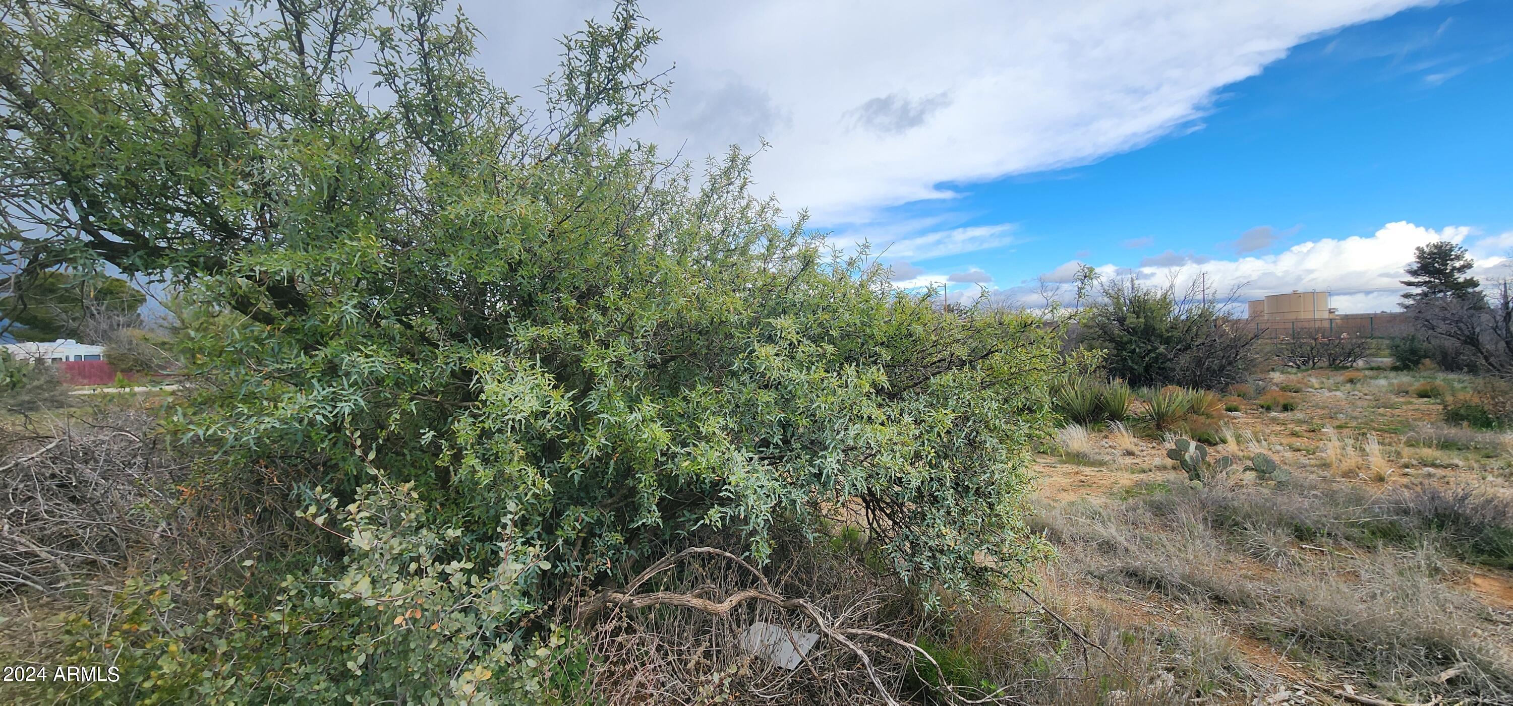 20344 East Antelope Road, Unit 1082 Mayer, AZ 86333 - Photo 15 of 28 Panoramic view 10