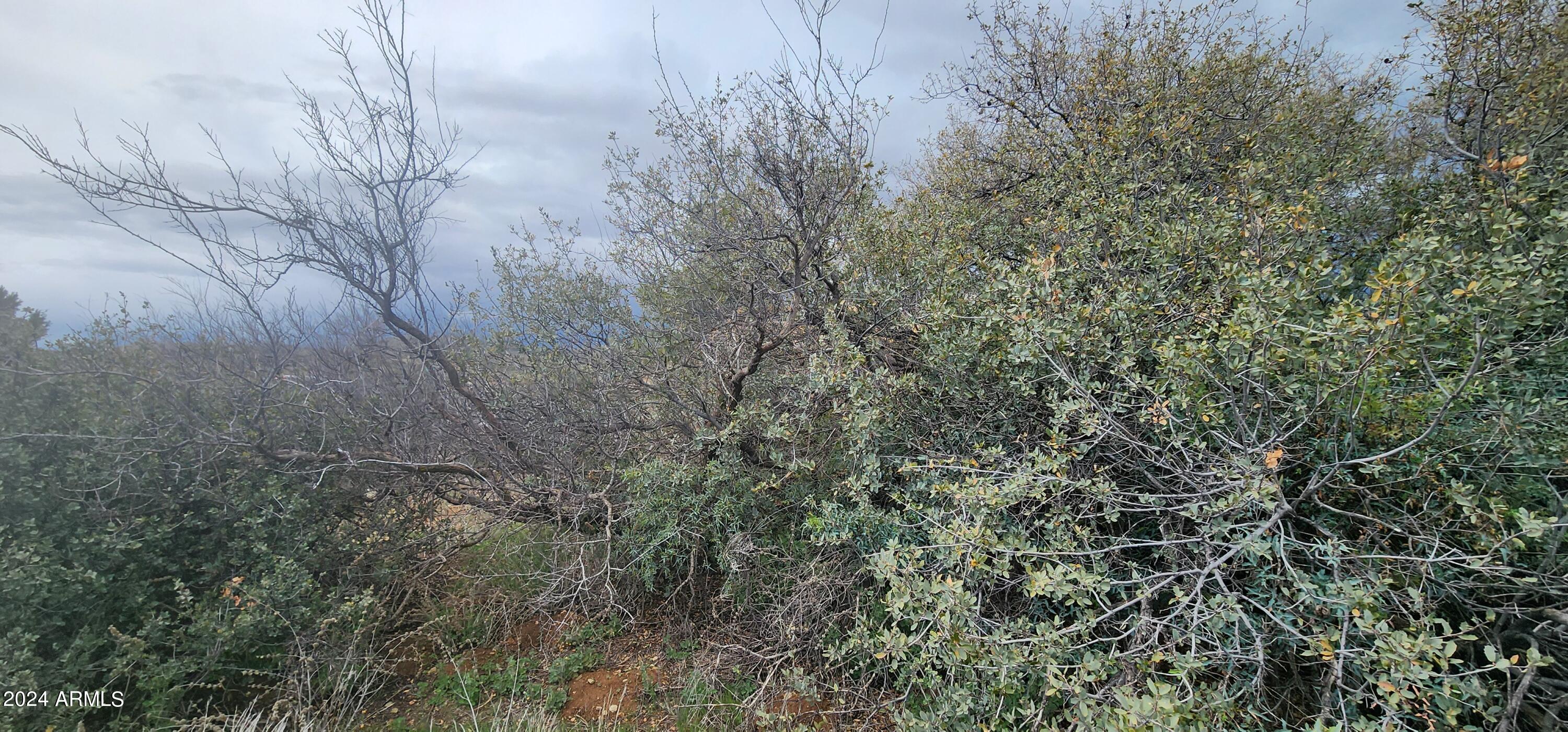 20344 East Antelope Road, Unit 1082 Mayer, AZ 86333 - Photo 9 of 28 Panoramic view 4