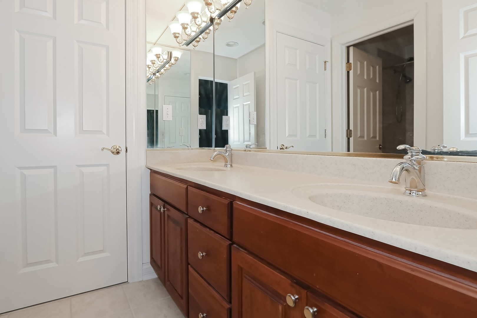 S331 South Mathewson Lane Geneva, IL 60134 - Photo 29 of 40 a bathroom with a sink and a mirror