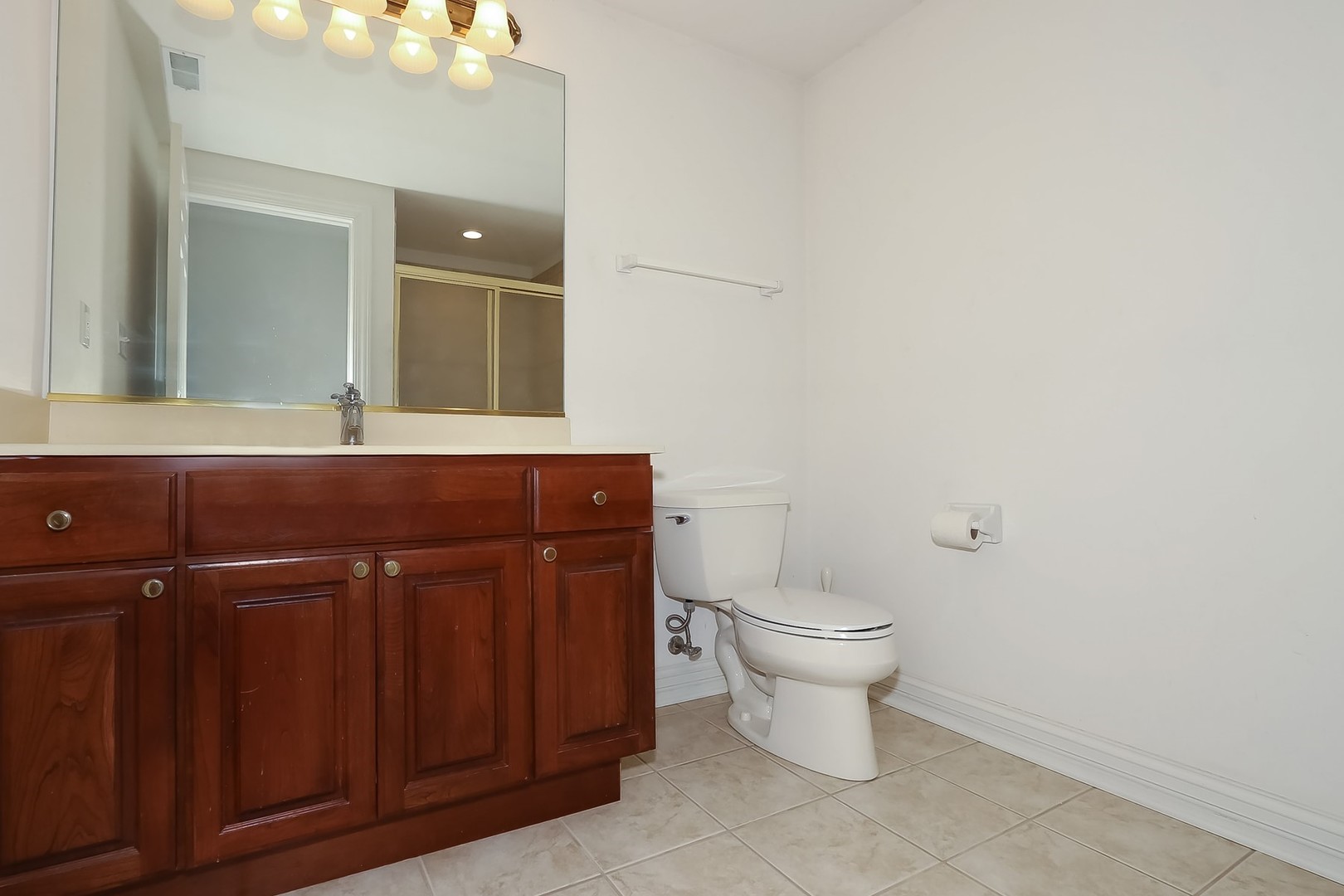 S331 South Mathewson Lane Geneva, IL 60134 - Photo 32 of 40 a bathroom with a sink and a toilet