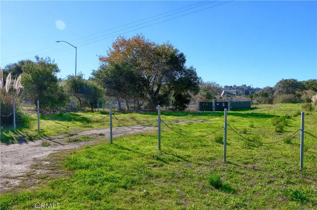a view of a park with a large tree