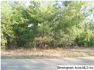 Howell Cove Road Talladega, AL 35160 - Photo 1 of 9