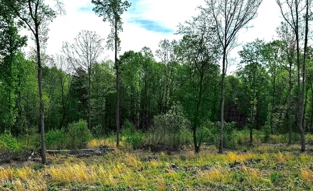 $175,000 | 10 Conner Ridge Road, Efland, NC 27243