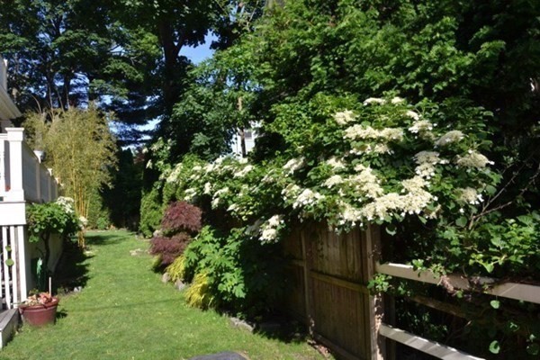 18 Newbern Street Boston, MA 02130 - Photo 3 of 40