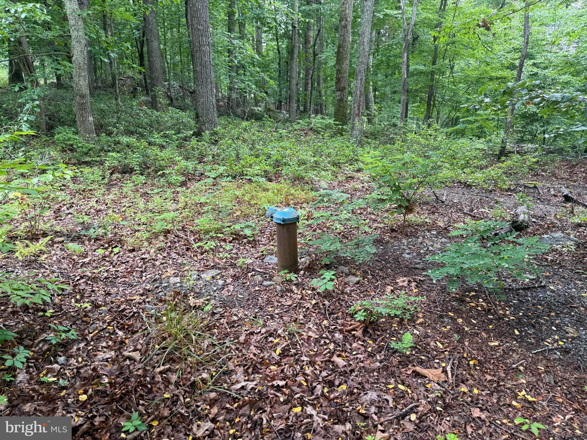 Tr D-15 Deer Path Road Augusta, WV 26704 - Photo 7 of 12