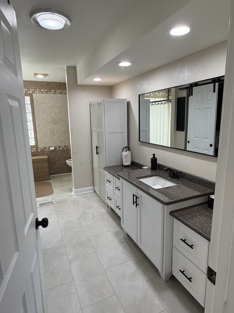 17245 County Line Road Plainfield, IL 60586 - Photo 14 of 45 a spacious bathroom with a granite countertop sink a mirror and a shower