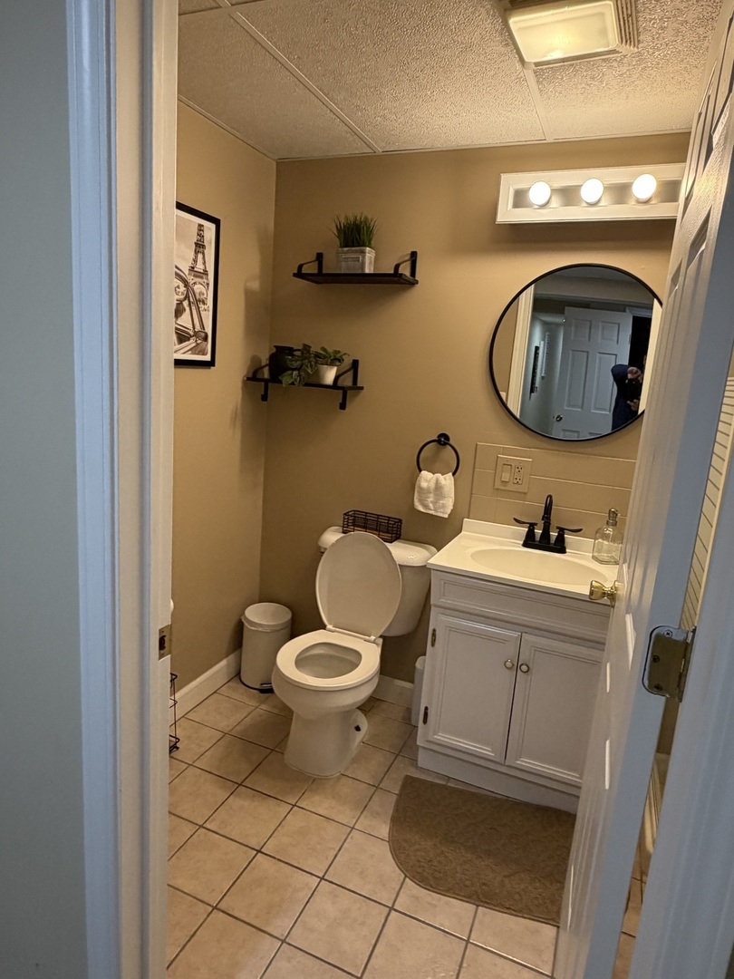 17245 County Line Road Plainfield, IL 60586 - Photo 29 of 45 a bathroom with a toilet sink and mirror