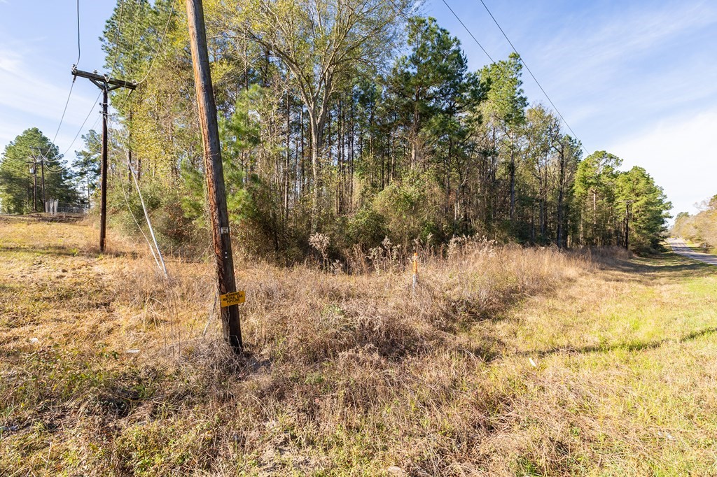 2109 Huntington Tx 75949 Huntington, TX 75949 - Photo 4 of 6 a view of a yard covered with snow in front of house