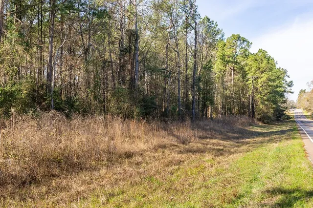 a view of a yard with a tree