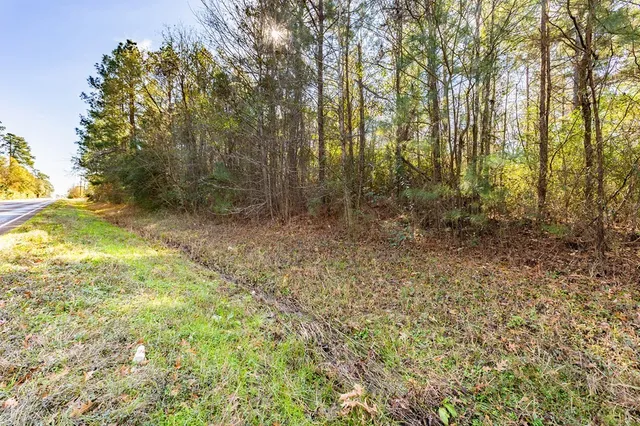 a view of a yard with trees in front of it