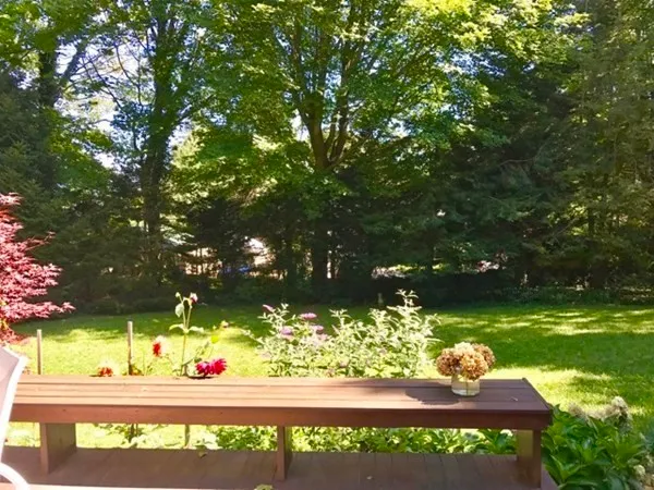 a view of a street with a tree
