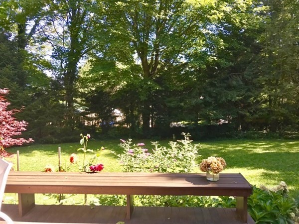 21 William Street Tisbury, MA 02568 - Photo 23 of 27 a view of a street with a tree