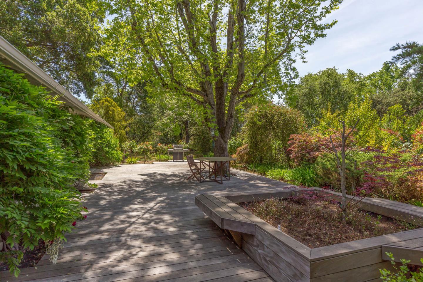 136 Bardet Road Woodside, CA 94062 - Photo 4 of 13 a view of a backyard with large trees