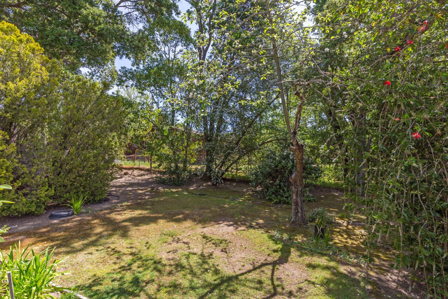 136 Bardet Road Woodside, CA 94062 - Photo 5 of 13 a pathway of a yard
