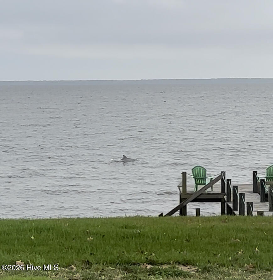 159 Nixons Beach Road Edenton, NC 27932 - Photo 47 of 47 Dolphins right off the pier