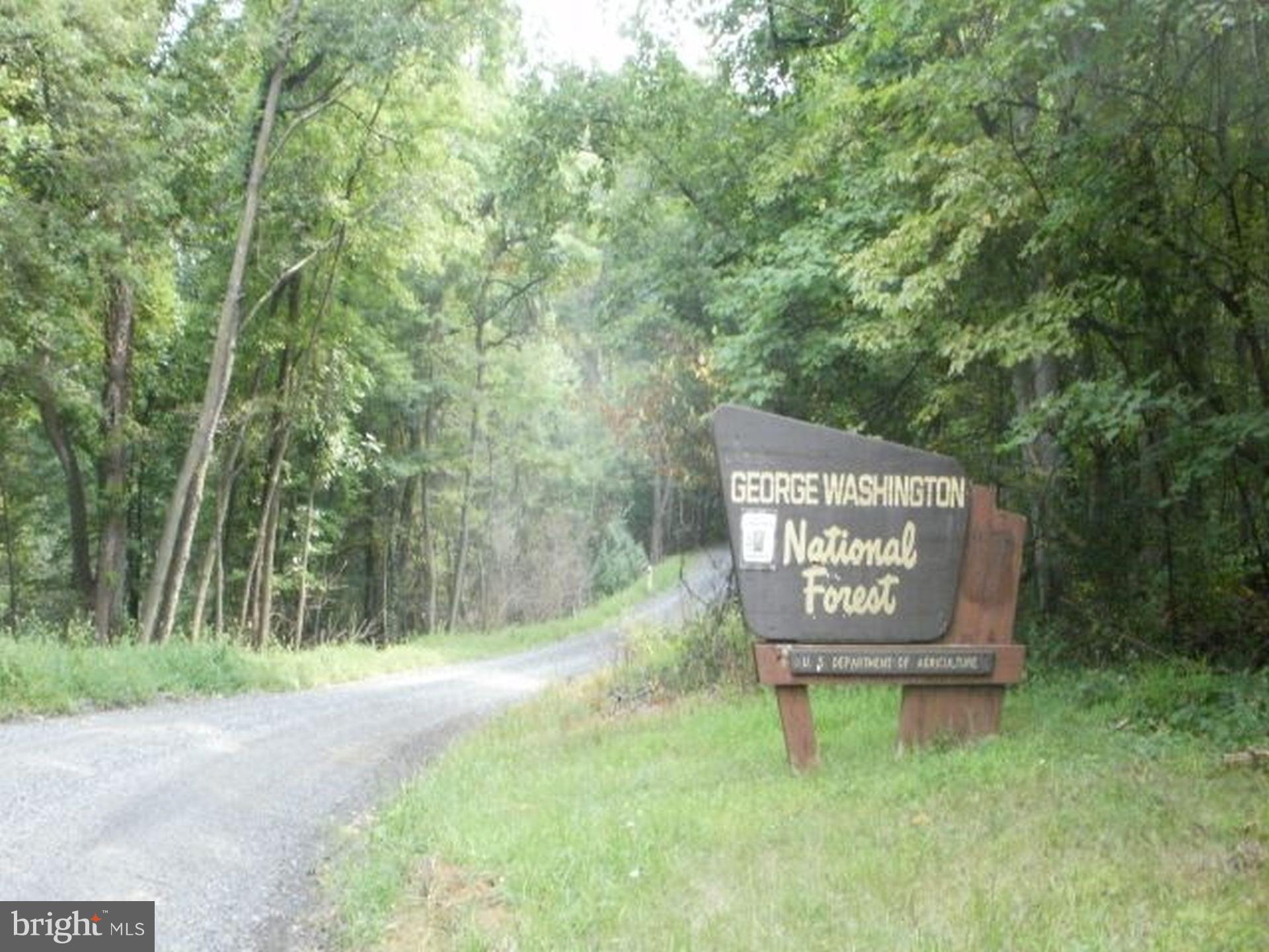 Not On File Star Tannery, VA 22654 - Photo 4 of 6 Just 5 min. from hunting in the G.W. Nat'l Forest.
