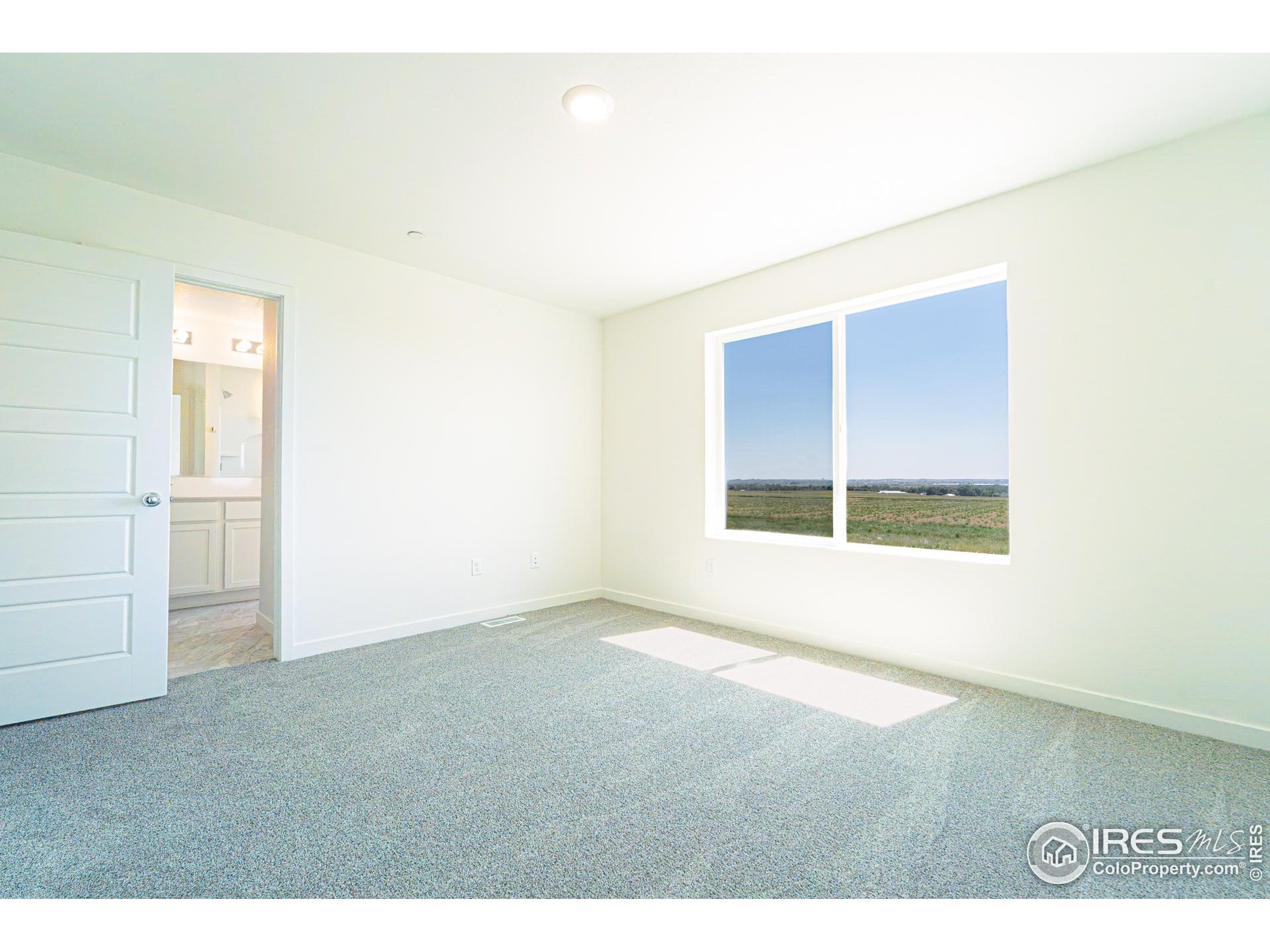 3909 Net Street Evans, CO 80620 - Photo 6 of 16