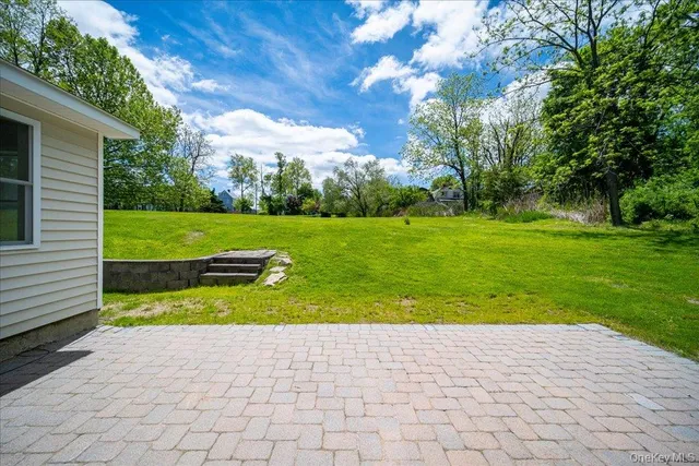 a view of a yard and a large tree