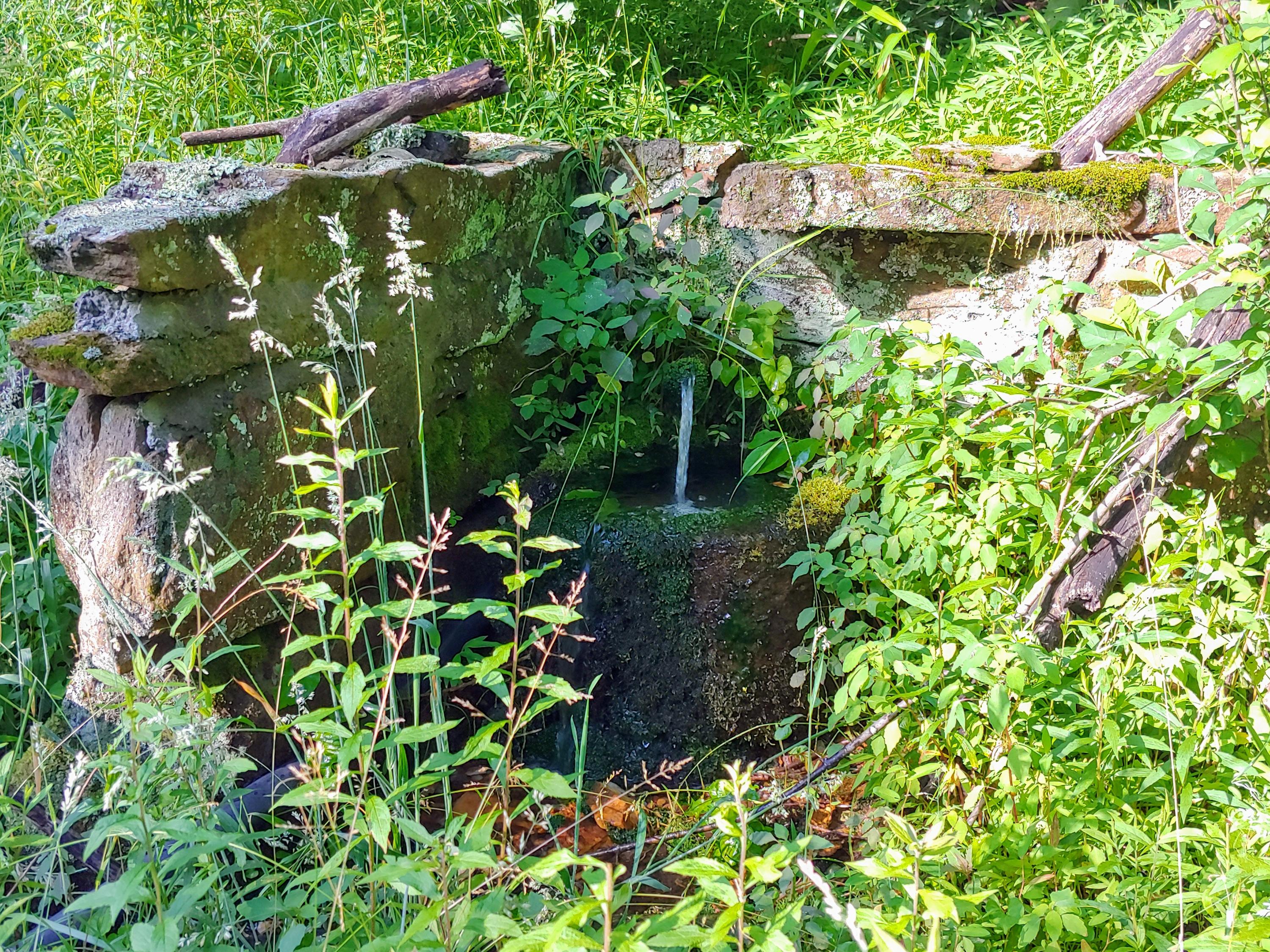 136 Old Fields Road Southwest Floyd, VA 24091 - Photo 6 of 71 a backyard of a house with lots of green space