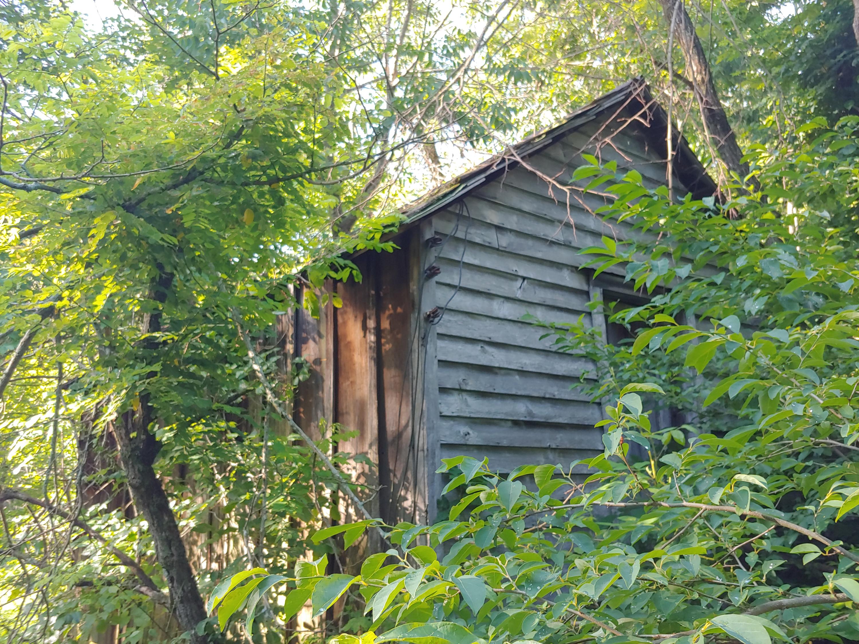 136 Old Fields Road Southwest Floyd, VA 24091 - Photo 67 of 71 a backyard of a house with lots of green space