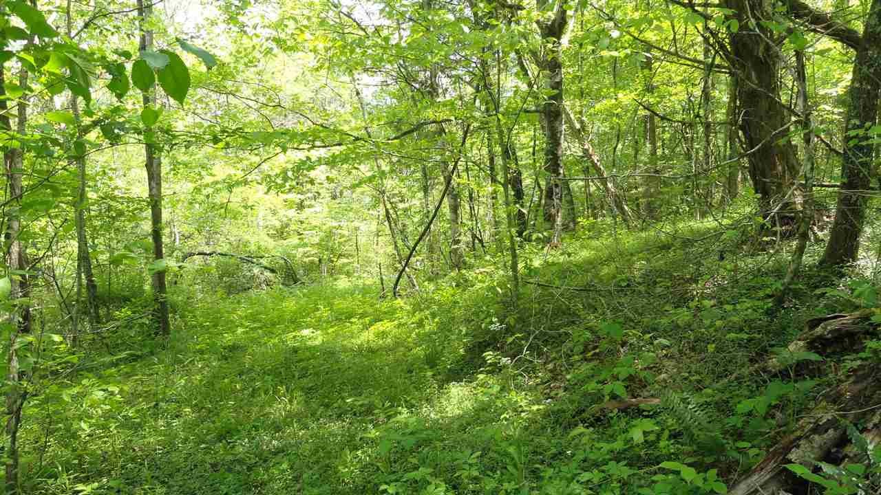 137 Daugherty Spring Road Tellico Plains, TN 37385 - Photo 16 of 24 Gallery Image 16