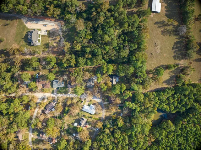 a view of a city with lush green forest