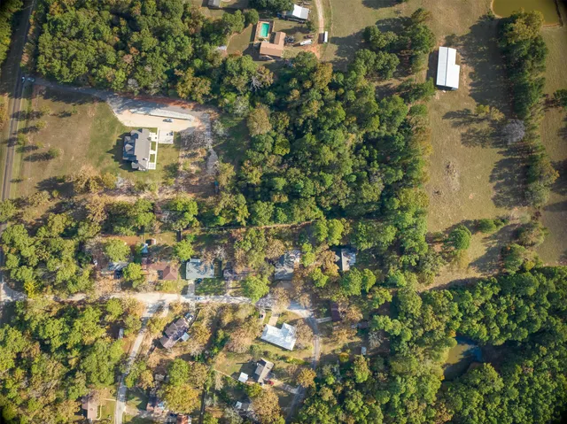 a picture of flowers